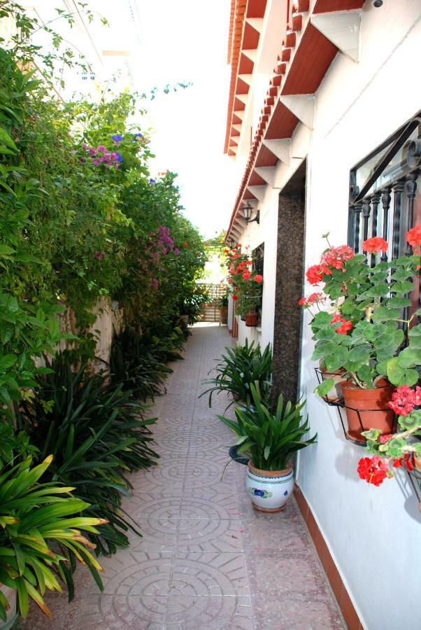 Apartamentos Inter Gandia Playa Buitenkant foto